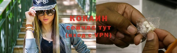 мдпв Михайлов