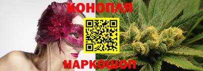 сатива Кинель