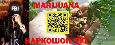 сатива Кимры