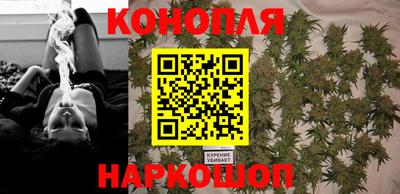 сатива Кинель