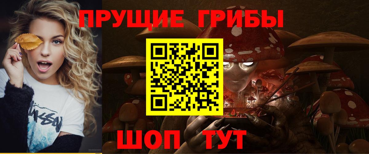 Псилоцибиновые грибы MAGIC MUSHROOMS  Псилоцибиновые грибы MAGIC MUSHROOMS  Киржач 