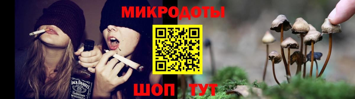 Псилоцибиновые грибы GOLDEN TEACHER Киржач